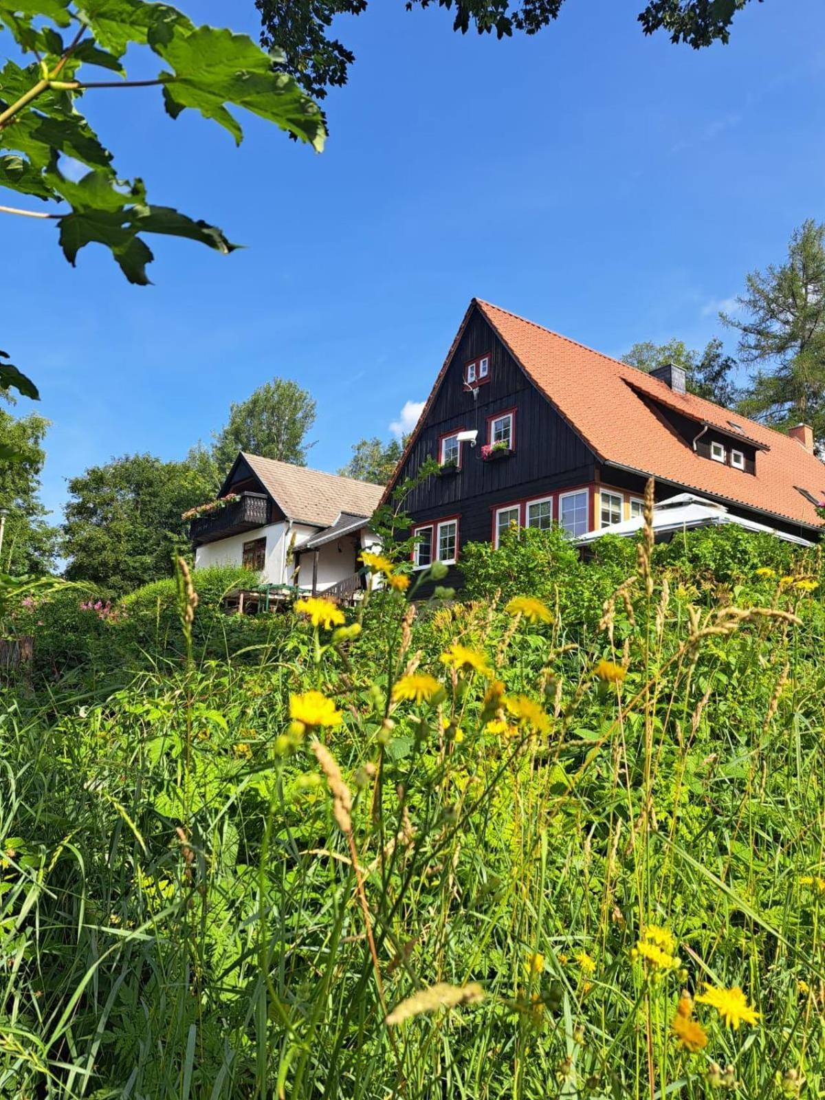 Apartment Haus Erna *
